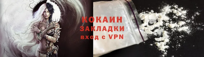 COCAIN Fish Scale  закладка  Каргополь 